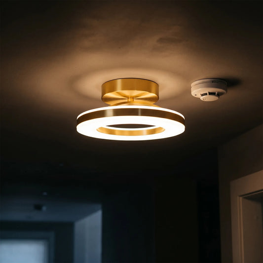 Circulis - Modern Flush Mount Light
