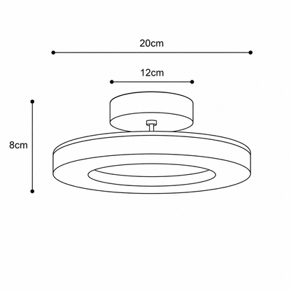 Circulis - Modern Flush Mount Light