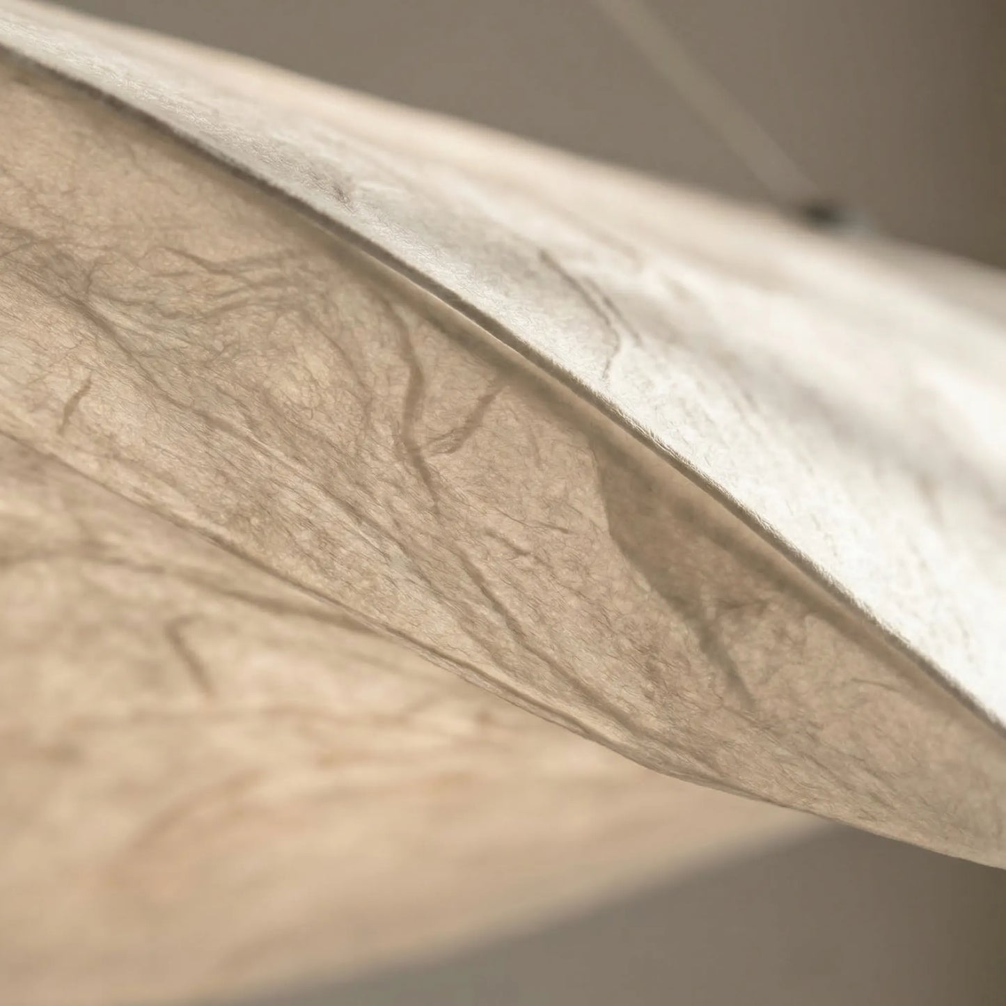 Lumenara - Sculptural Ribbon-Form Pendant Lamp