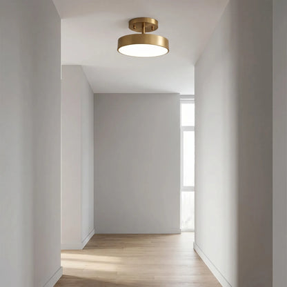 Lumivex - Round Flush-Mount LED Ceiling Fixture