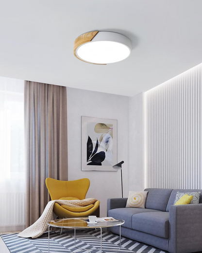 Lumnara - Round Flush-Mount Minimalist Ceiling Light