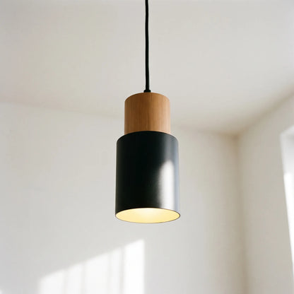 Nuvola - Two-Tone Pendant Light
