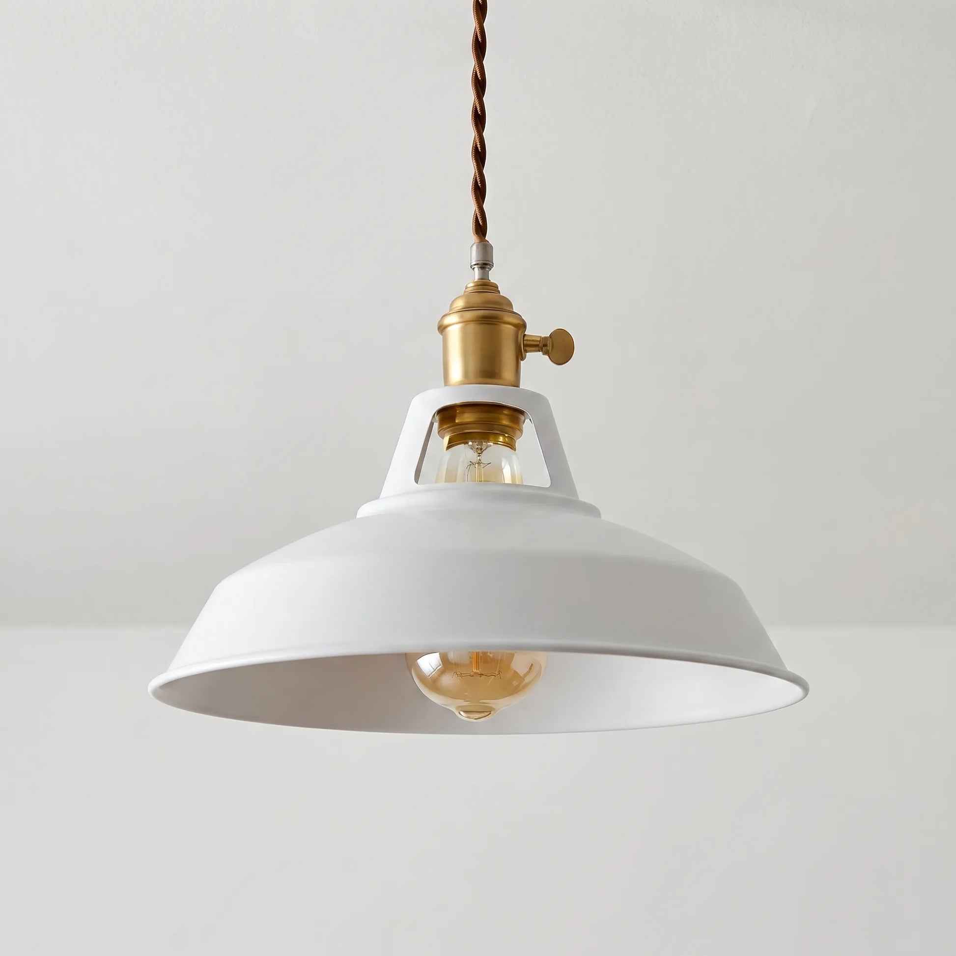 Pendanta - Modern Painted Pendant Lamp