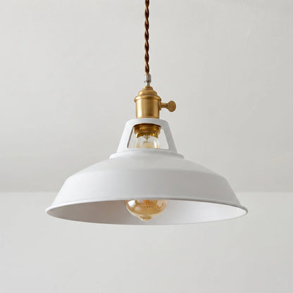 Pendanta - Modern Painted Pendant Lamp