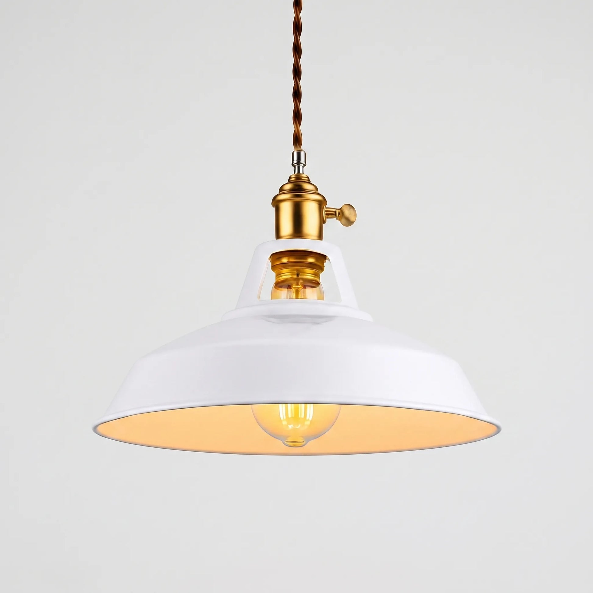 Pendanta - Modern Painted Pendant Lamp