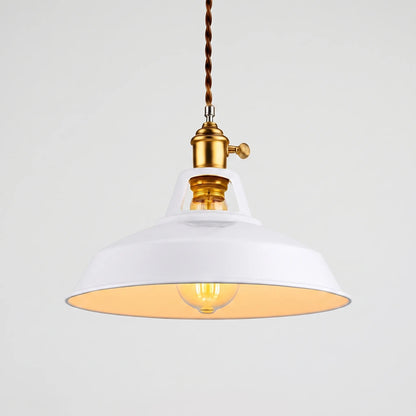 Pendanta - Modern Painted Pendant Lamp