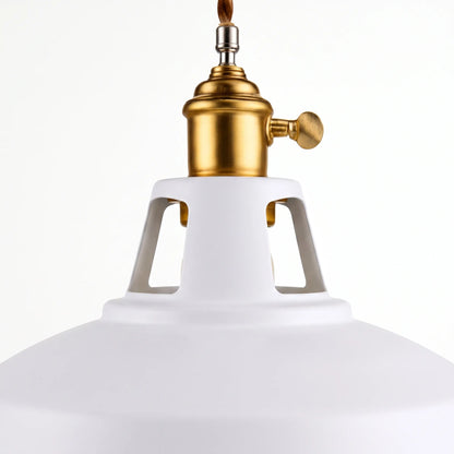 Pendanta - Modern Painted Pendant Lamp