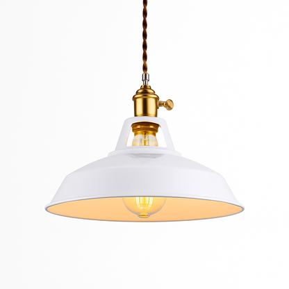 Pendanta - Modern Painted Pendant Lamp