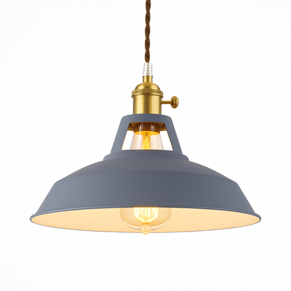 Pendanta - Modern Painted Pendant Lamp