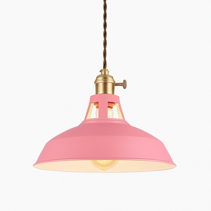 Pendanta - Modern Painted Pendant Lamp