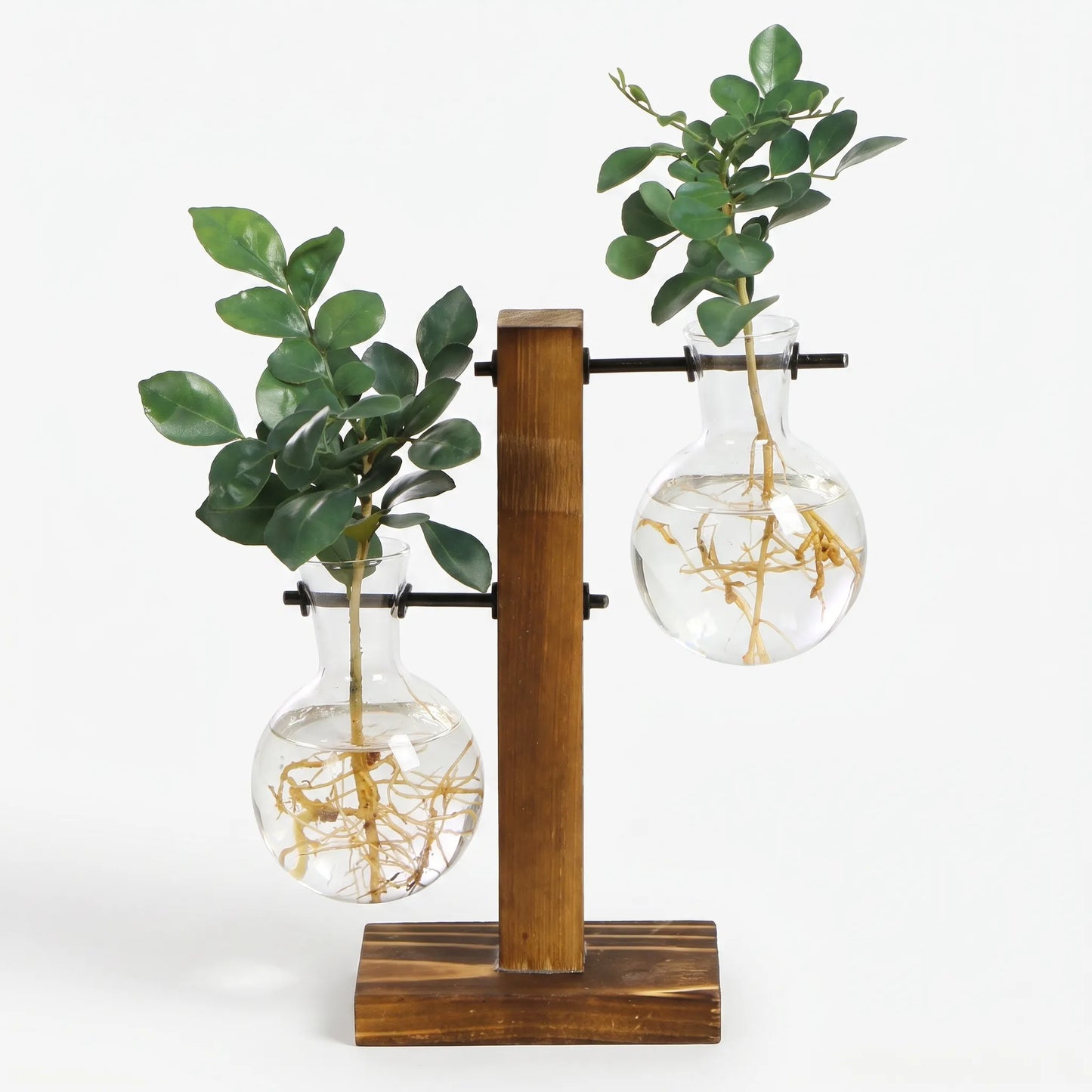 RootView - Desktop Plant Propagation Station
