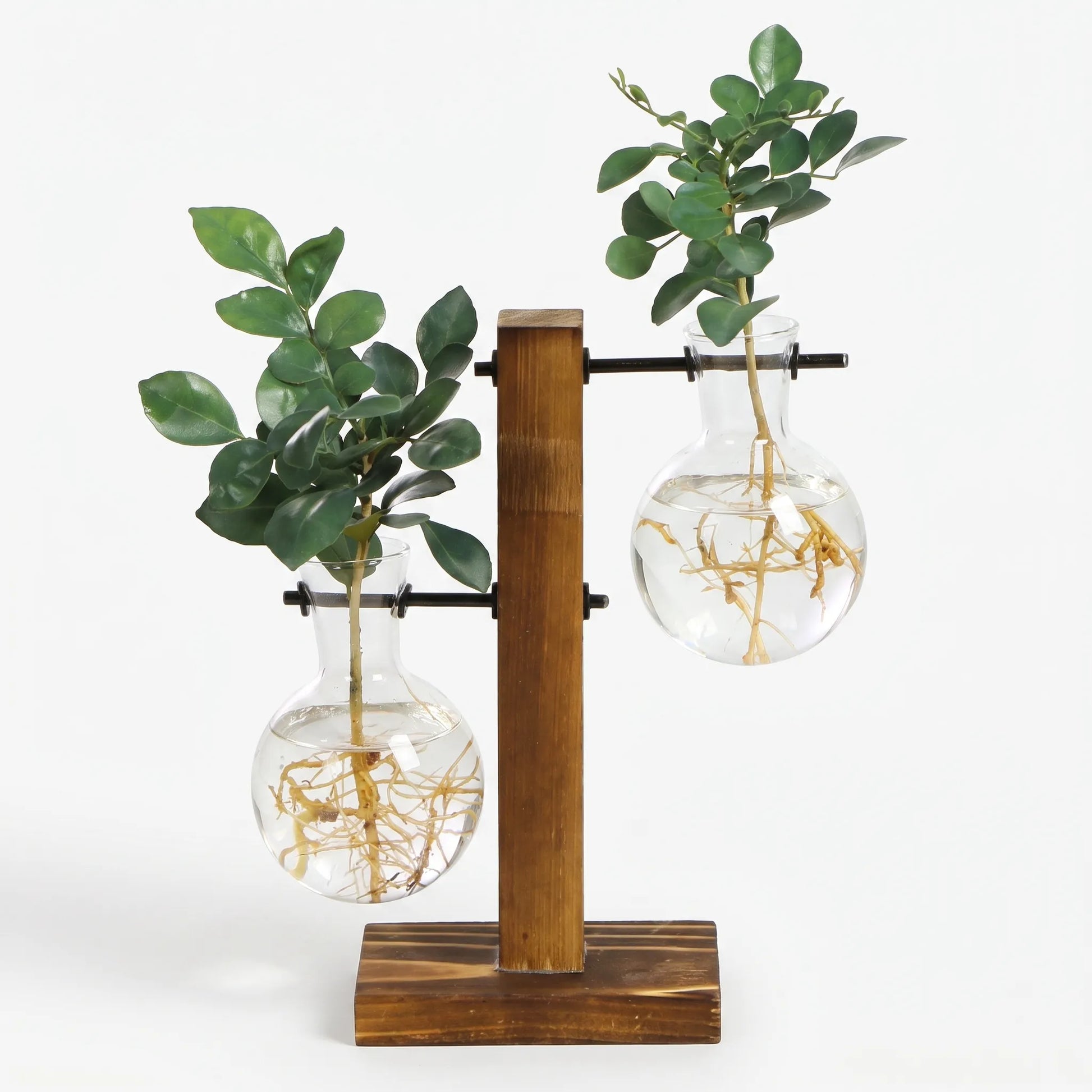RootView - Desktop Plant Propagation Station