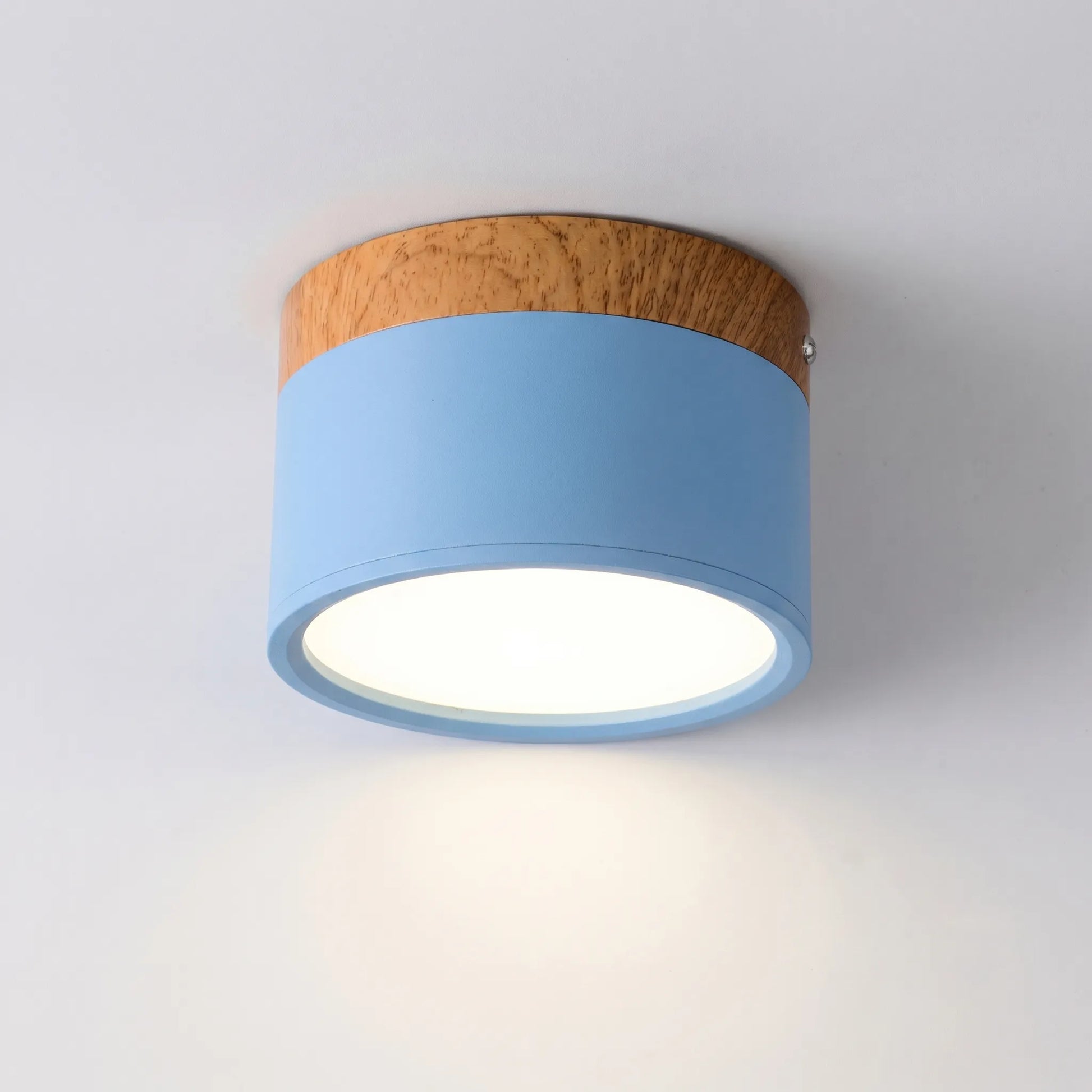 Scandi- Surface Mounted Ceiling Light
