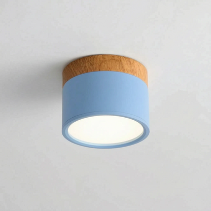 Scandi- Surface Mounted Ceiling Light
