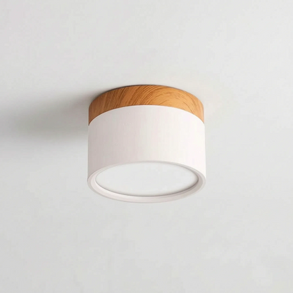 Scandi- Surface Mounted Ceiling Light