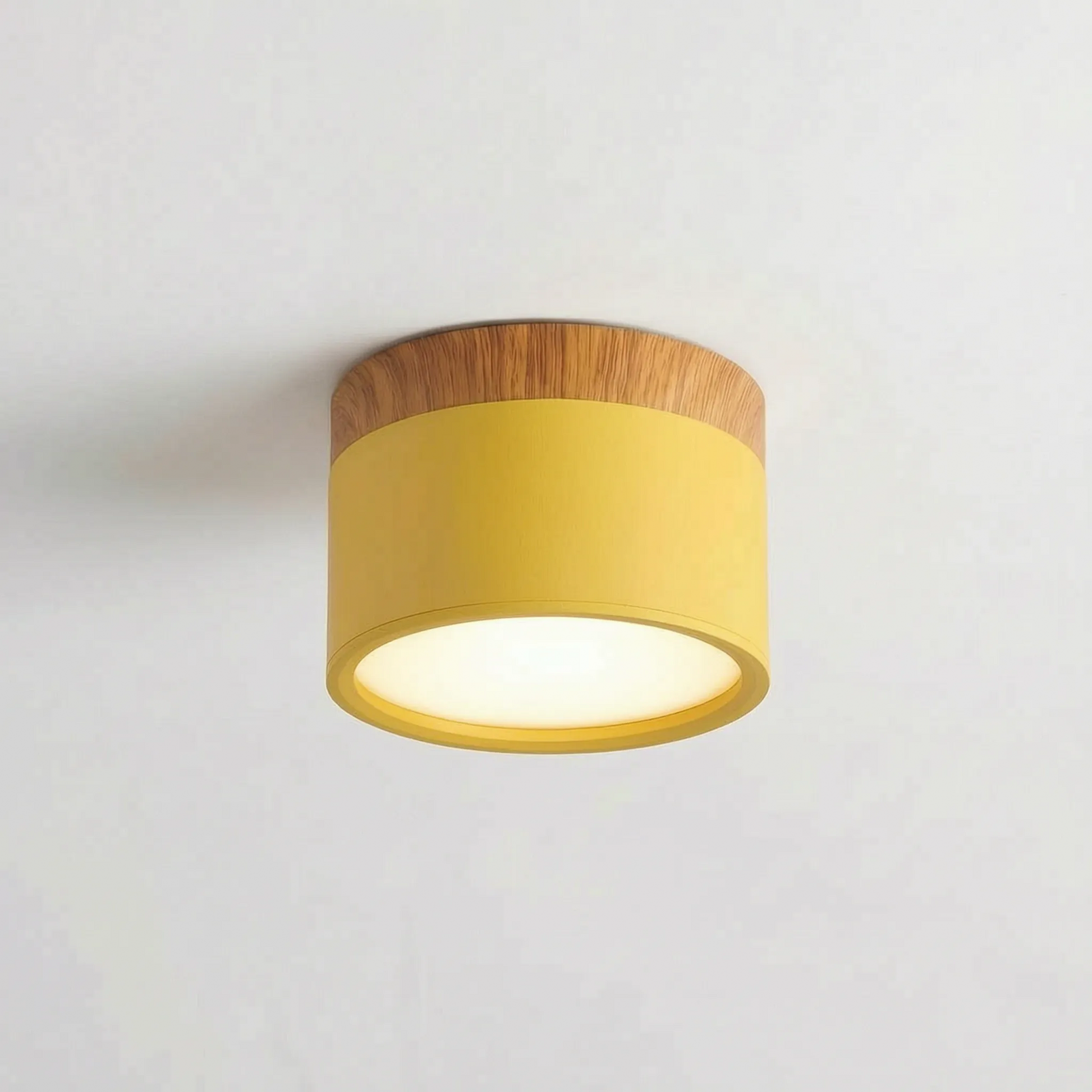 Scandi- Surface Mounted Ceiling Light