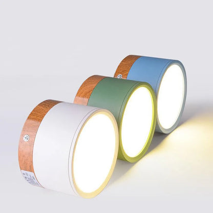 Scandi- Surface Mounted Ceiling Light