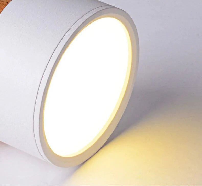 Scandi- Surface Mounted Ceiling Light