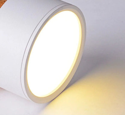 Scandi- Surface Mounted Ceiling Light