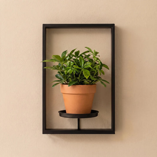 VertiFrame - Clean-Lined Wall Planter Holder