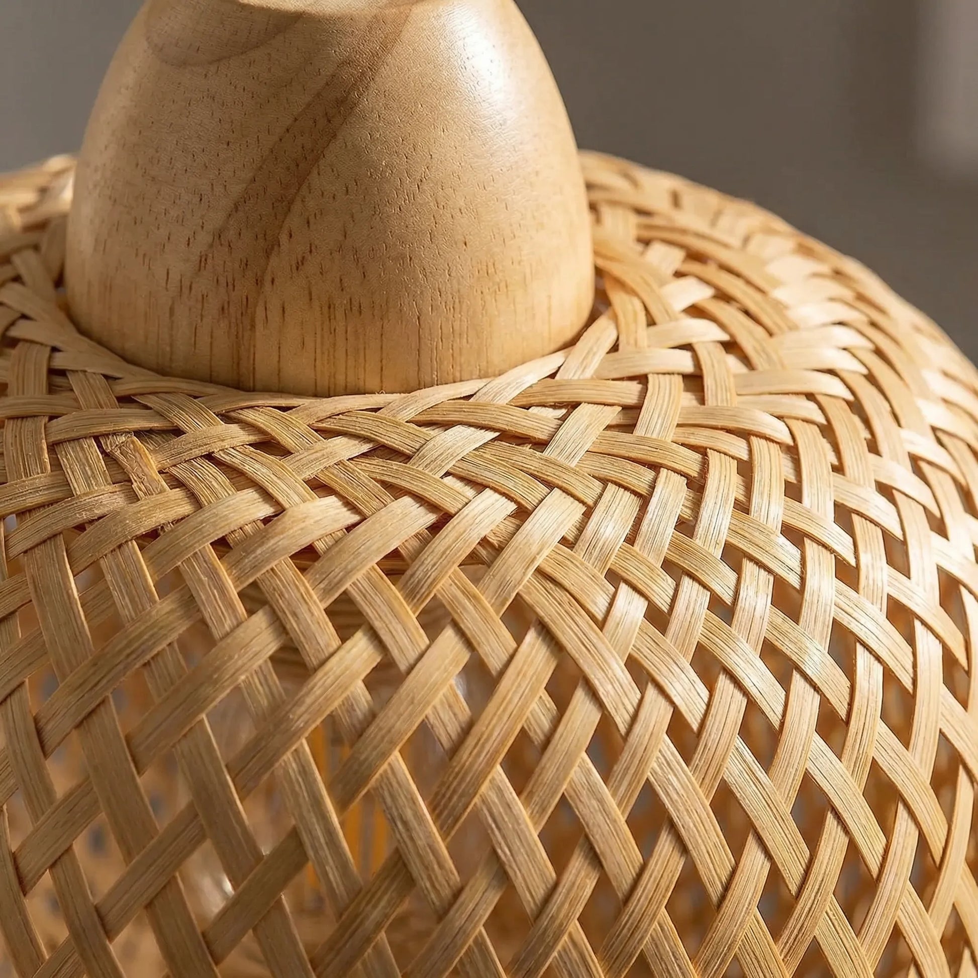 Wickova - Hand-Woven Wall-Mounted Pendant Lamp