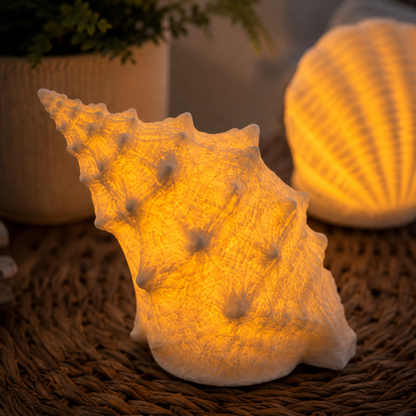 Coastal Afterglow Shell & Conch Ceramic Light Set lifestyle